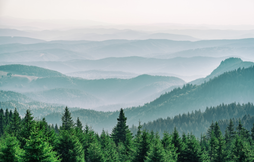 Подорож до Карпат: маршрут для новачків, які мріють про гори